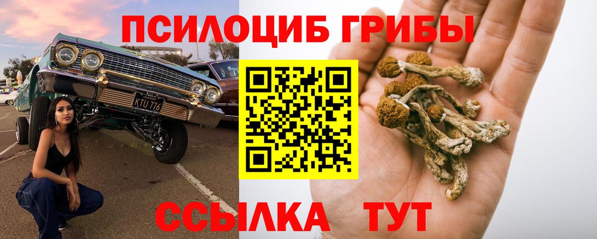 Орёл  Псилоцибиновые грибы прущие грибы  Вход с VPN 